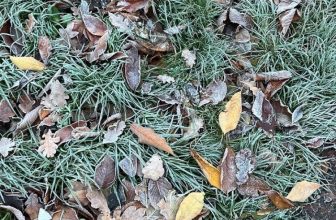 Easy methods to Beat the Winter Blues… — Estée Lalonde