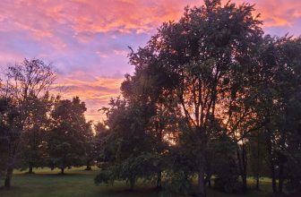 The Little Issues Publication #423 – Life, laughter, and plenty of nice meals!